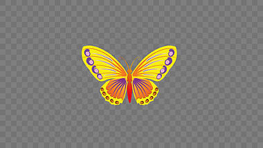 清新优雅动态蝴蝶动画ae模板视频的预览图