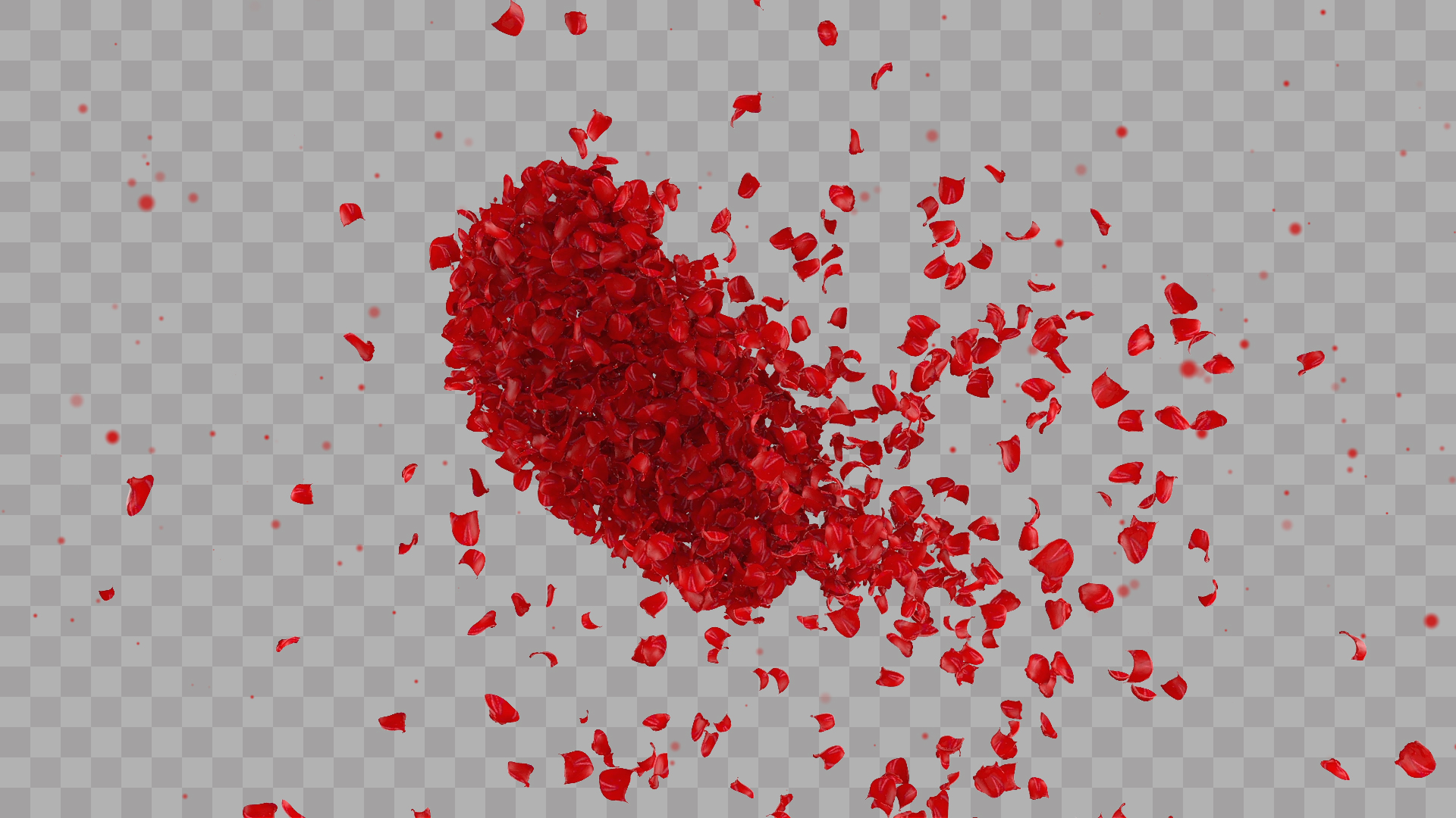 大气三维红心花瓣汇聚ae模板视频的预览图