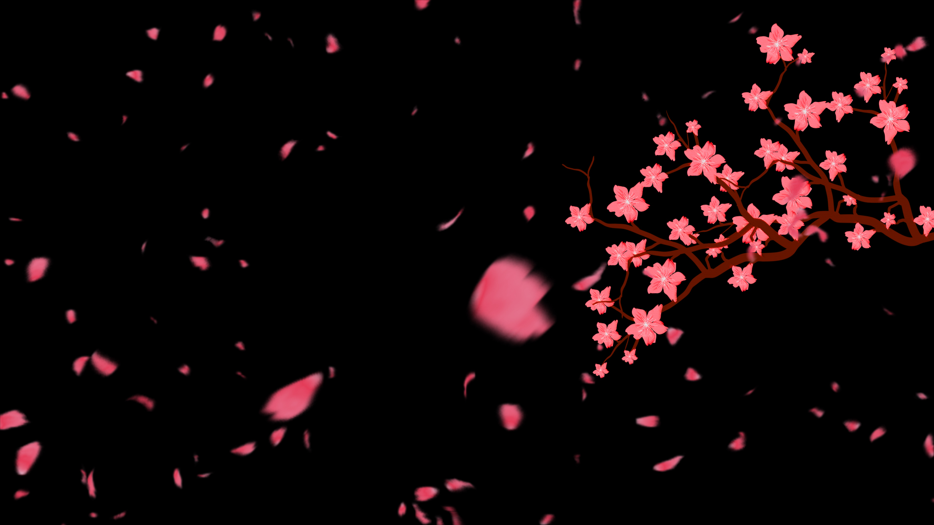 大气浪漫花瓣飞舞ae模板视频的预览图