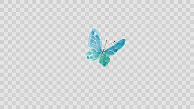 清新优雅蝴蝶飞舞ae模板视频的预览图