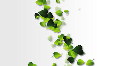 绿色清新叶子分散聚合ae模板视频的预览图
