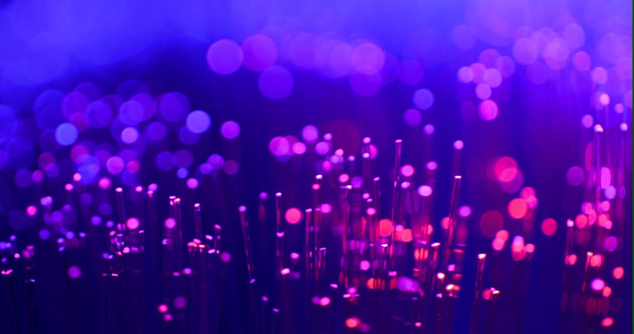 蓝紫色粒子动态背景视频视频的预览图