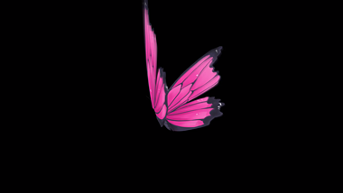 原创粉红色蝴蝶飞舞AE模板视频的预览图