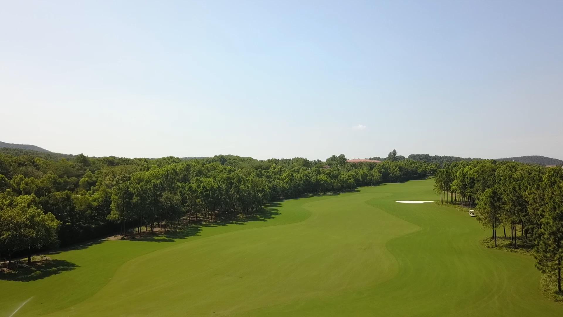 明媚高尔夫草坪绿地航拍视频的预览图