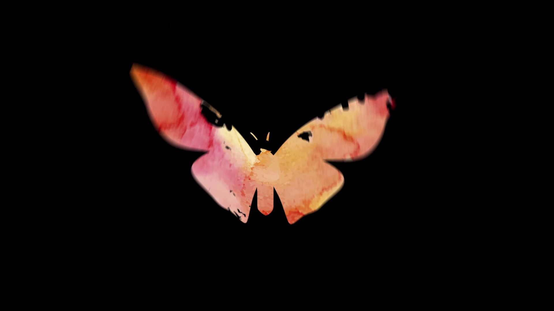 原创多彩蝴蝶飞舞AE模板01视频的预览图