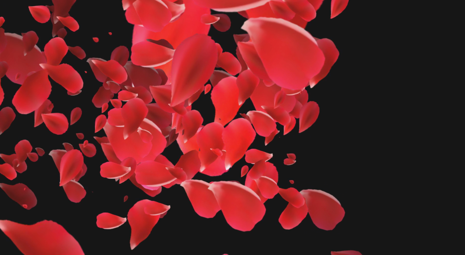 简洁动态玫瑰转场后期视频元素效果展示视频的预览图