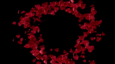 原创玫瑰花瓣飞舞装饰AE模板视频的预览图