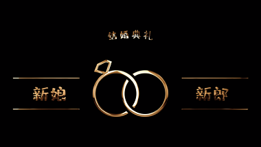 婚庆主题金属字AE模板01视频的预览图