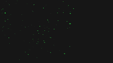 绿色粒子飘舞飞舞内容后期应用展示视频的预览图