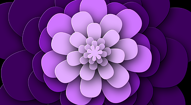 动态花朵紫色内容元素后期应用转场视频的预览图
