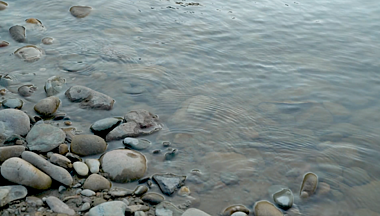 1080P河水拍打着河滩视频的预览图