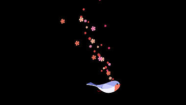 卡通可爱小鸟飞翔花朵飘散透明通道视频素材视频的预览图