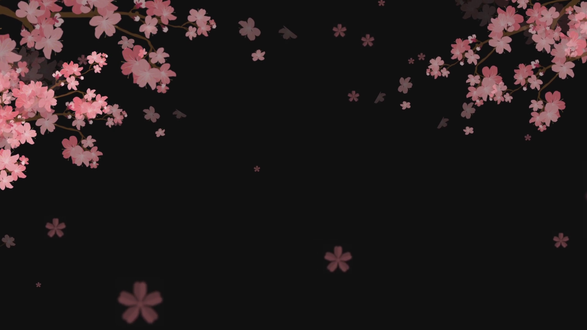 粉色唯美樱花飘落动态背景视频的预览图