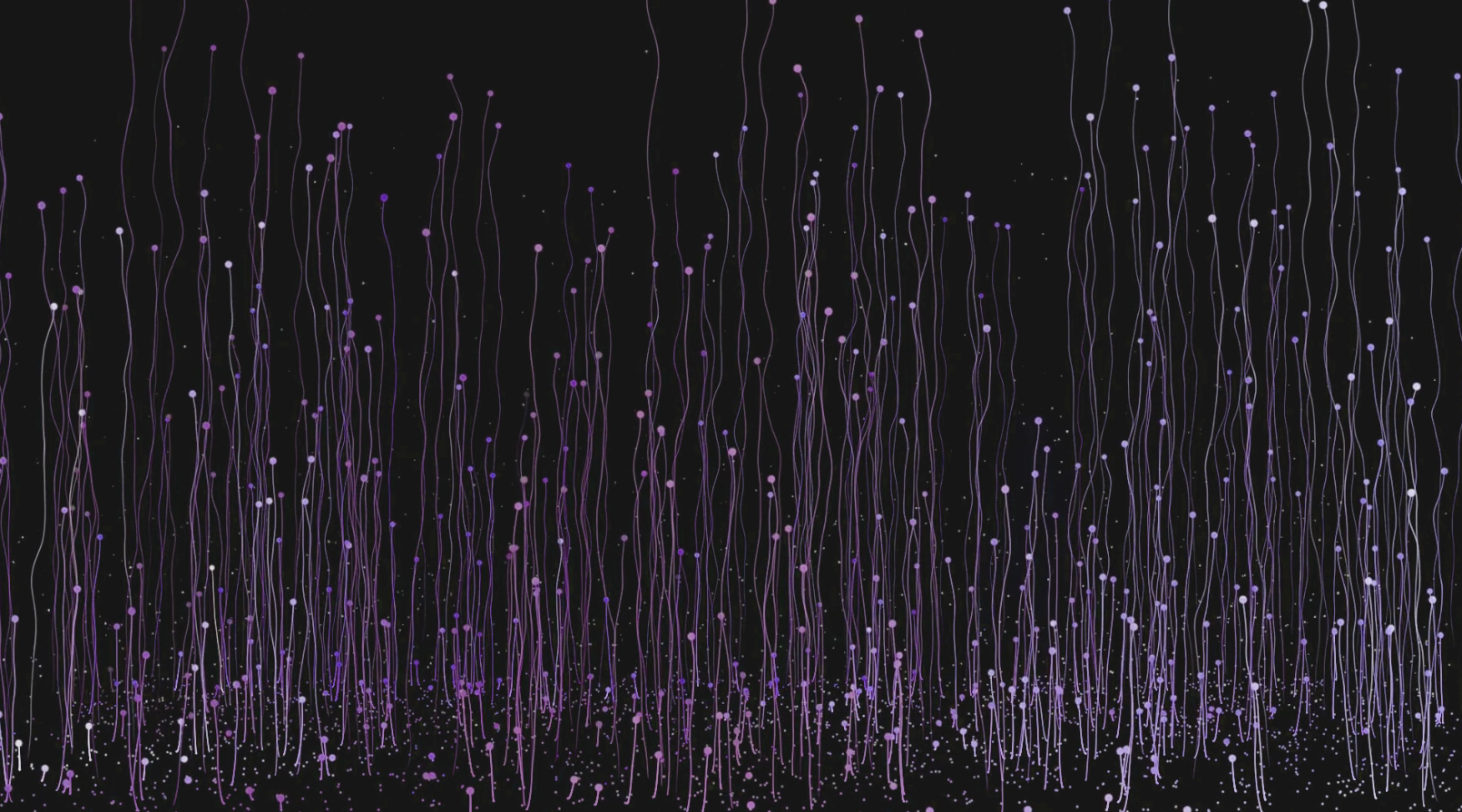 紫色线条粒子动态上升应用展示视频的预览图