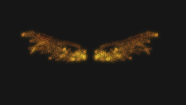 金色创意展示粒子翅膀展示后期效果应用视频的预览图