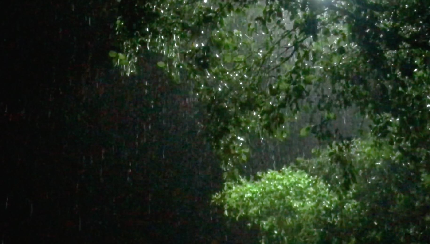 1080P夜晚路灯下的大雨视频的预览图