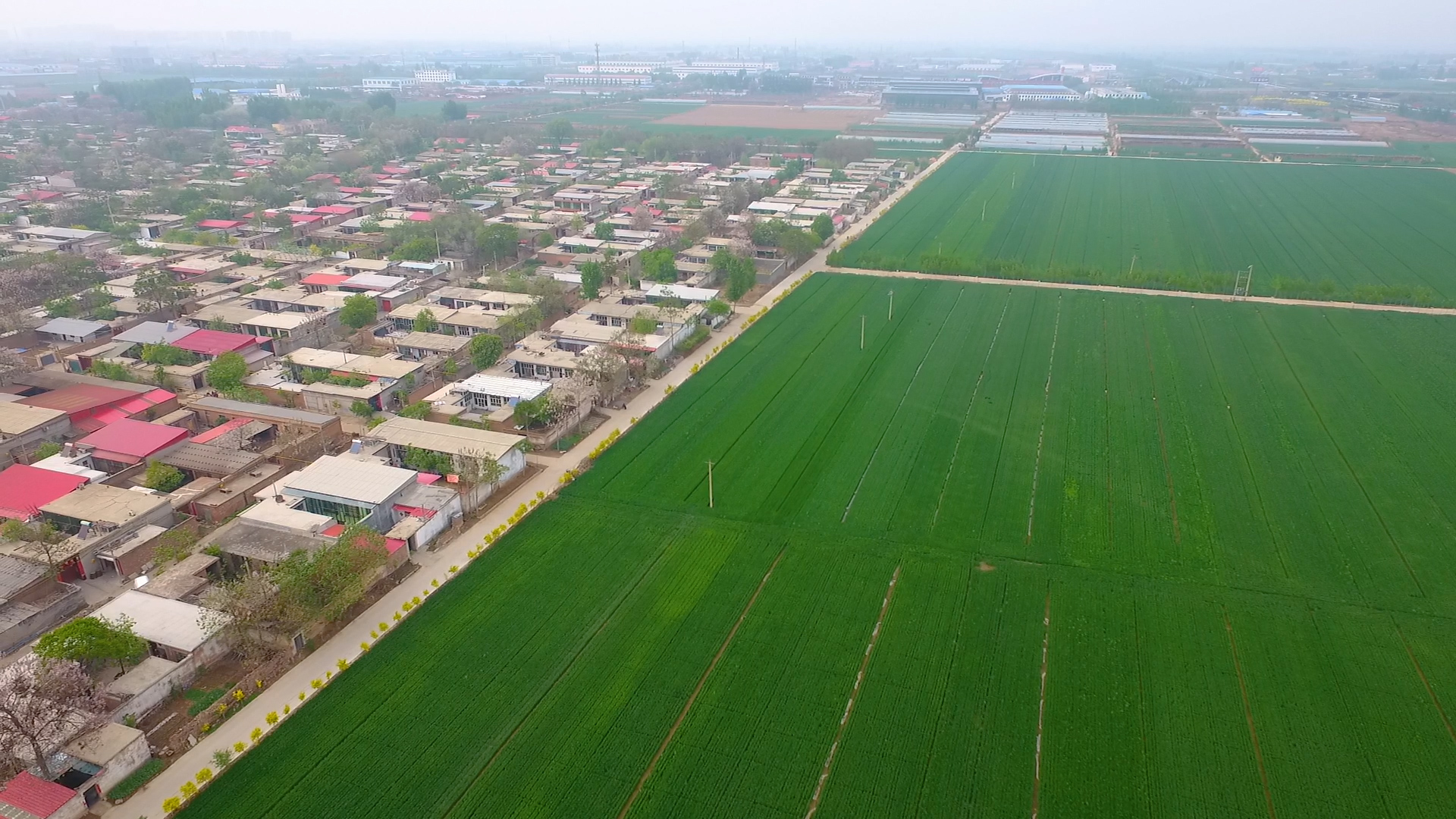 1080P航拍农田农业视频的预览图