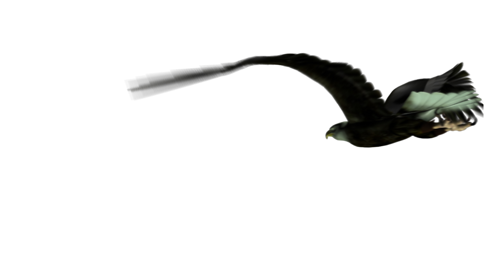 大气雄鹰飞过透明通道视频素材视频的预览图