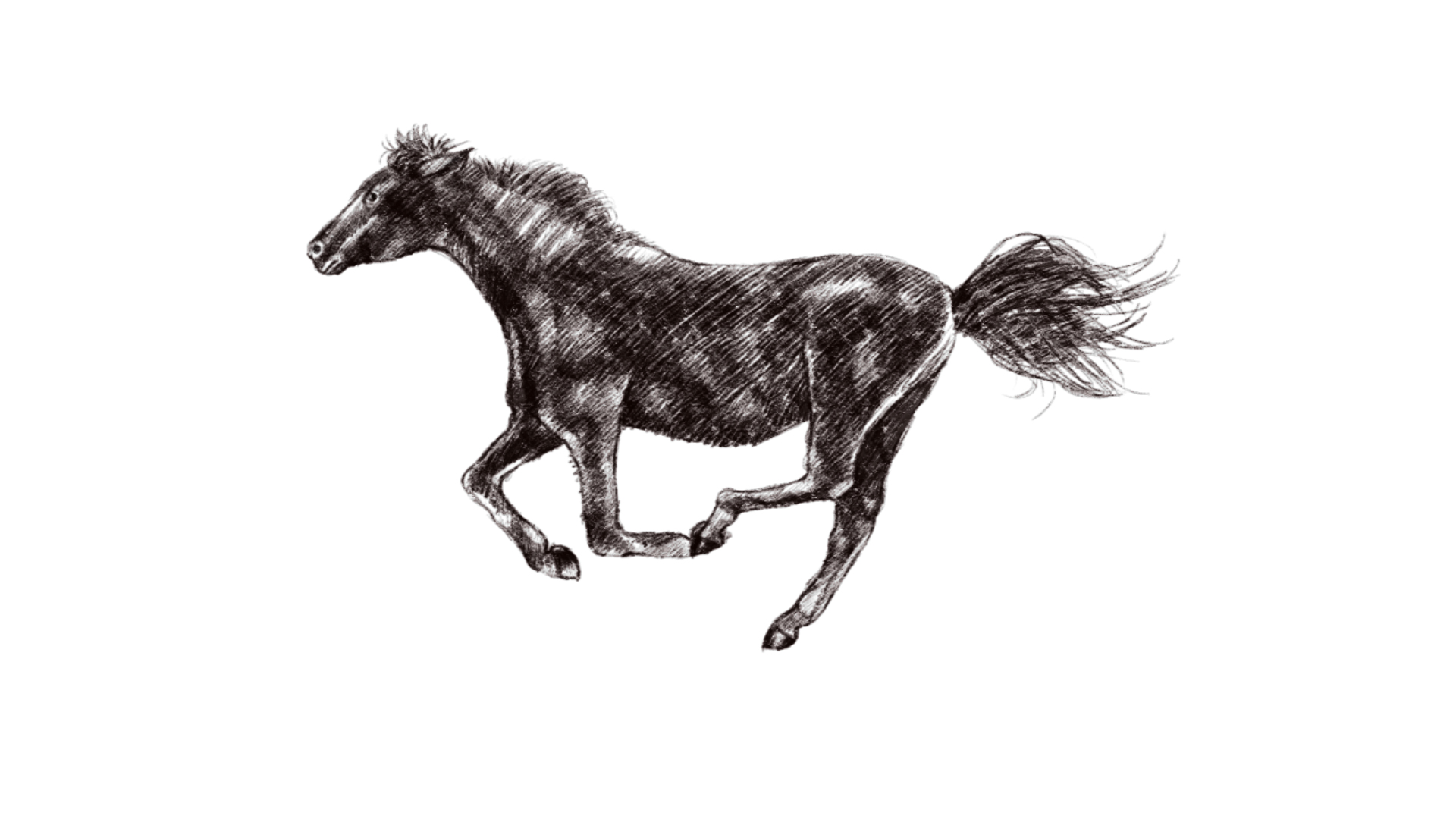 中国风水墨手绘马奔跑透明通道视频素材视频的预览图