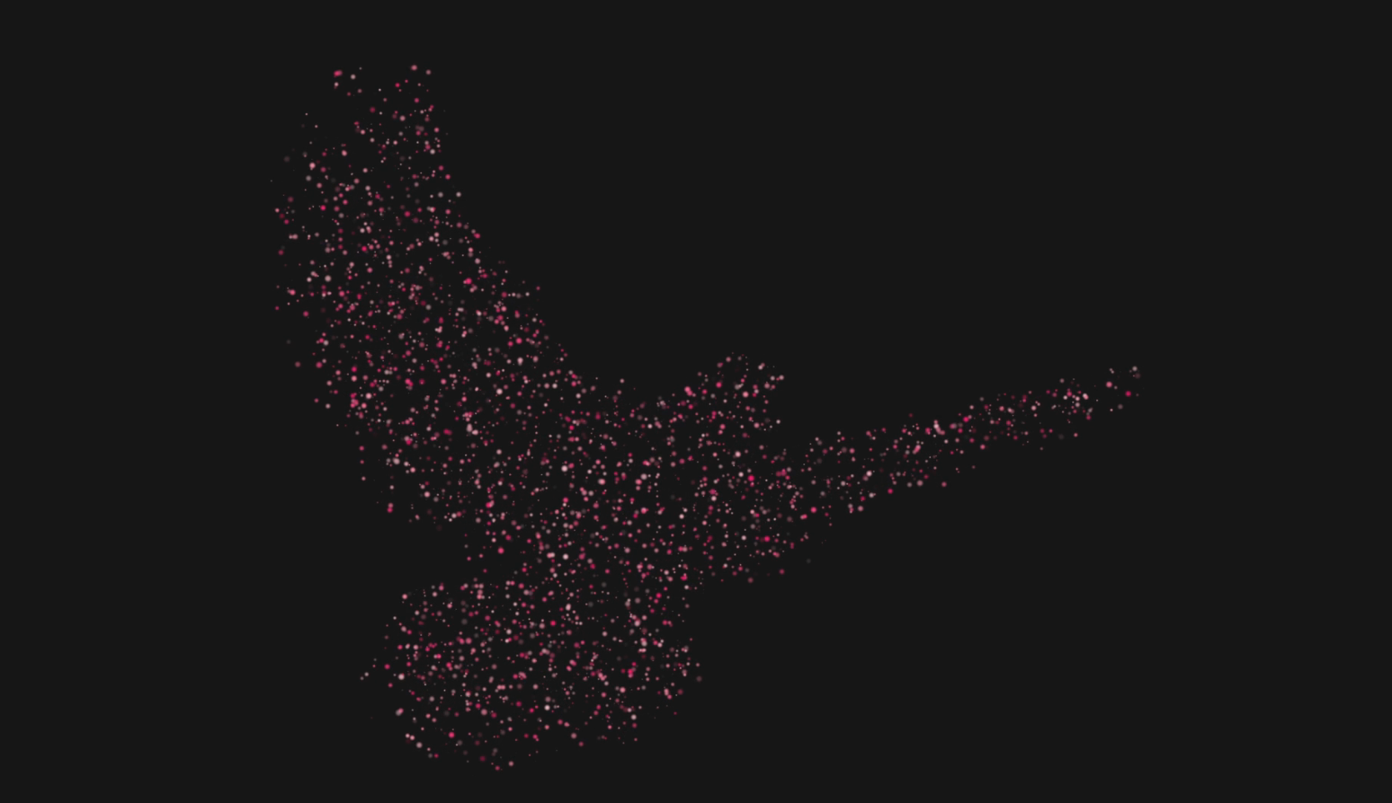 老鹰粒子动态效果后期动态演绎应用视频的预览图