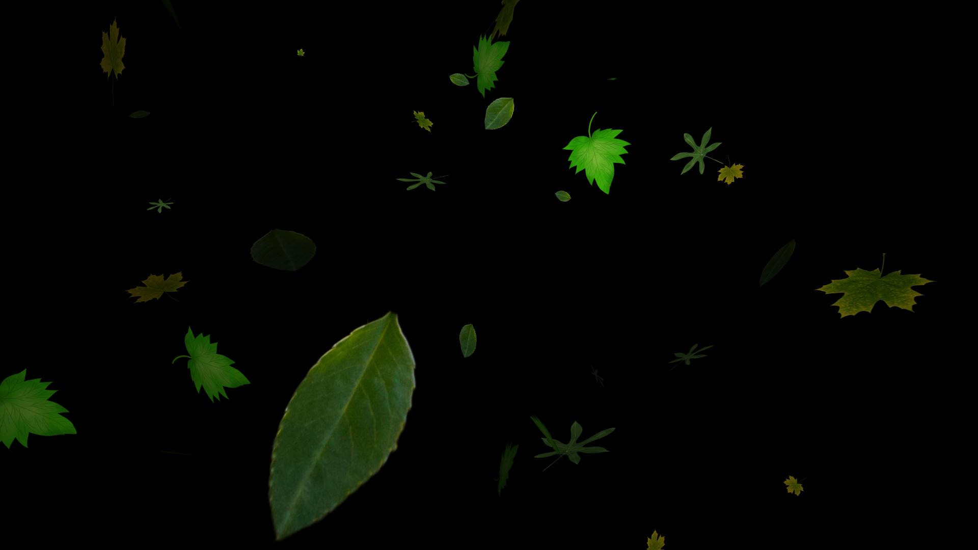 树叶飘落吹过装饰透明通道视频素材视频的预览图