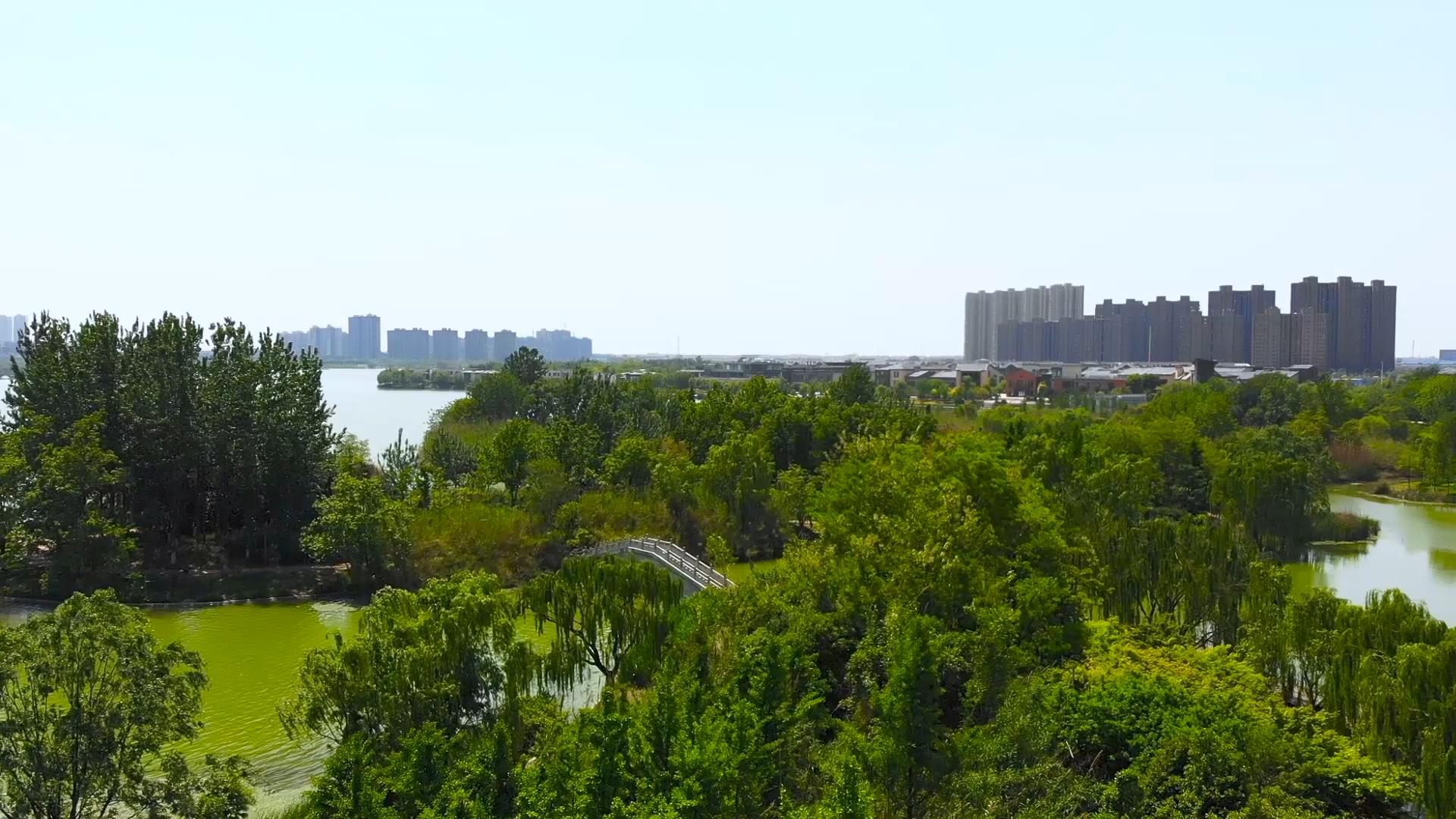 1080P航拍城市绿树湖水视频的预览图