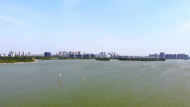 1080P航拍湖面帆船城市绿地视频的预览图