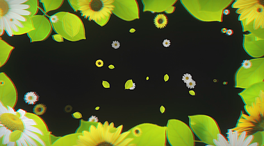 大气动态向日葵免抠边框效果应用视频的预览图