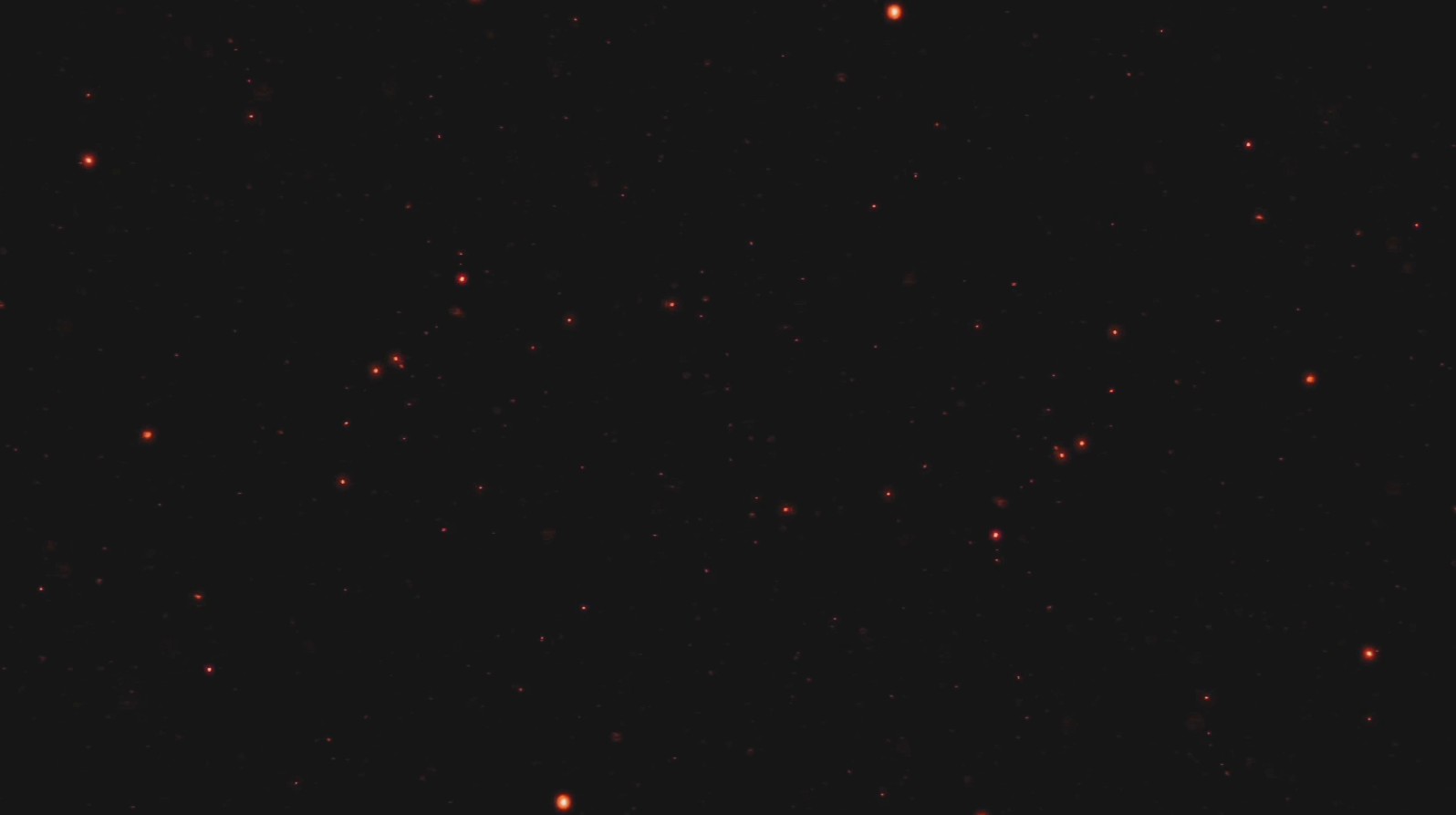 红色粒子效果带透明通道效果内容后期应用视频的预览图