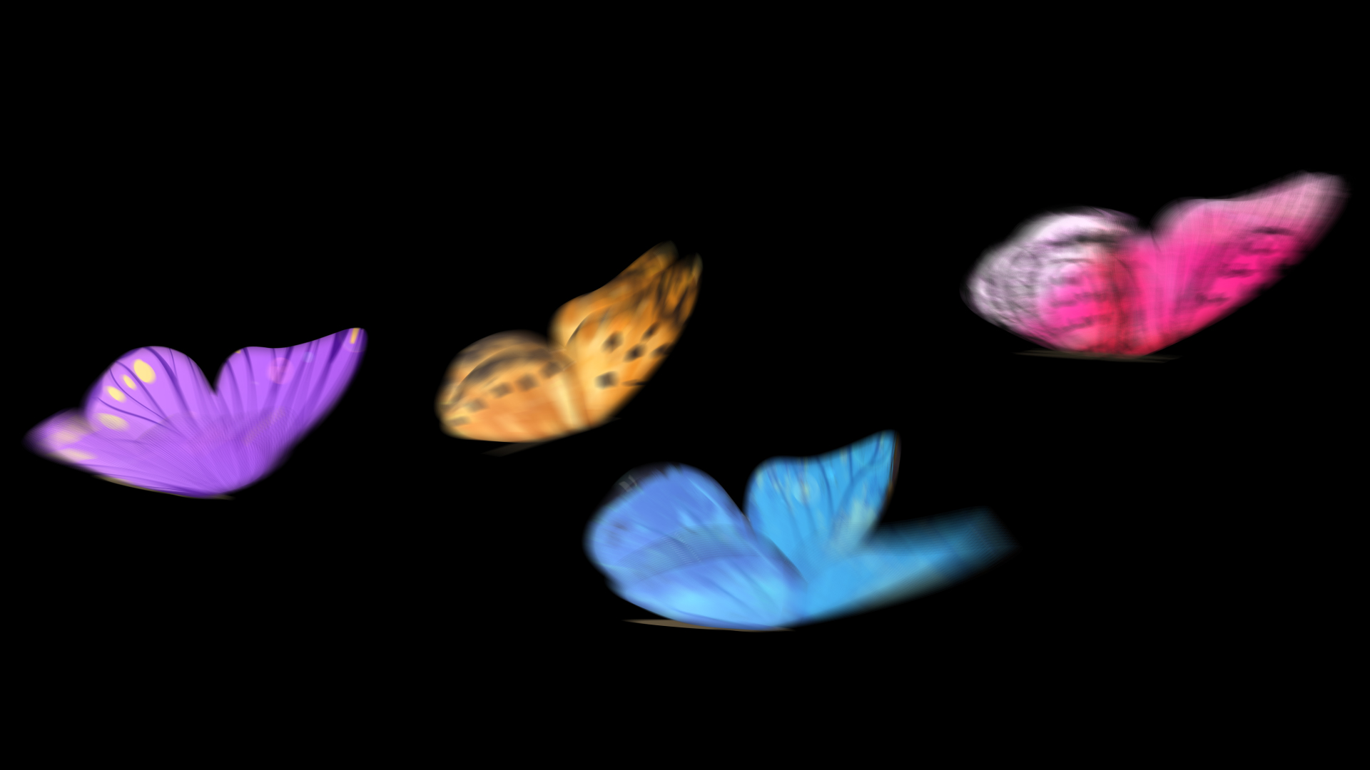 唯美彩色蝴蝶左往右飞舞动画透明通道视频的预览图