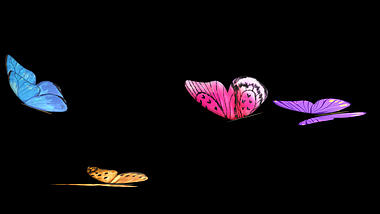 绚丽彩色蝴蝶从右往左飞舞动画透明通道视频的预览图