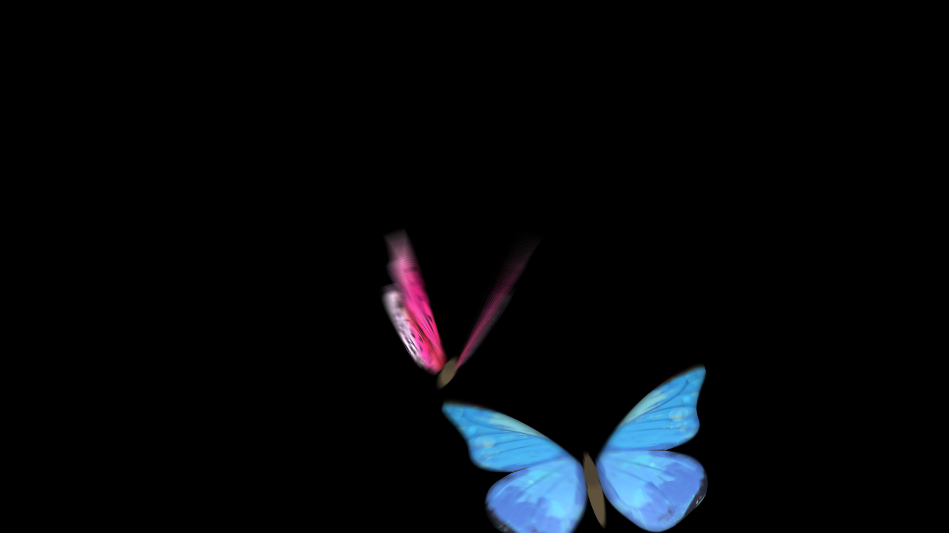 唯美彩色蝴蝶飞入消失动画透明通道视频的预览图
