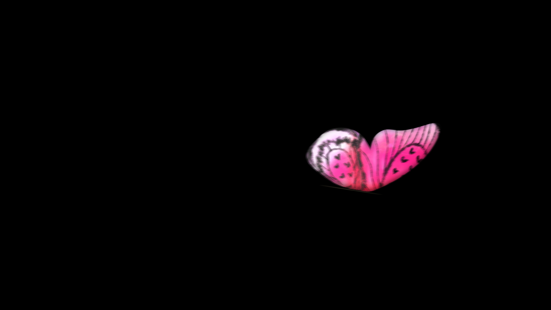 唯美粉红蝴蝶飞过动画透明通道视频的预览图