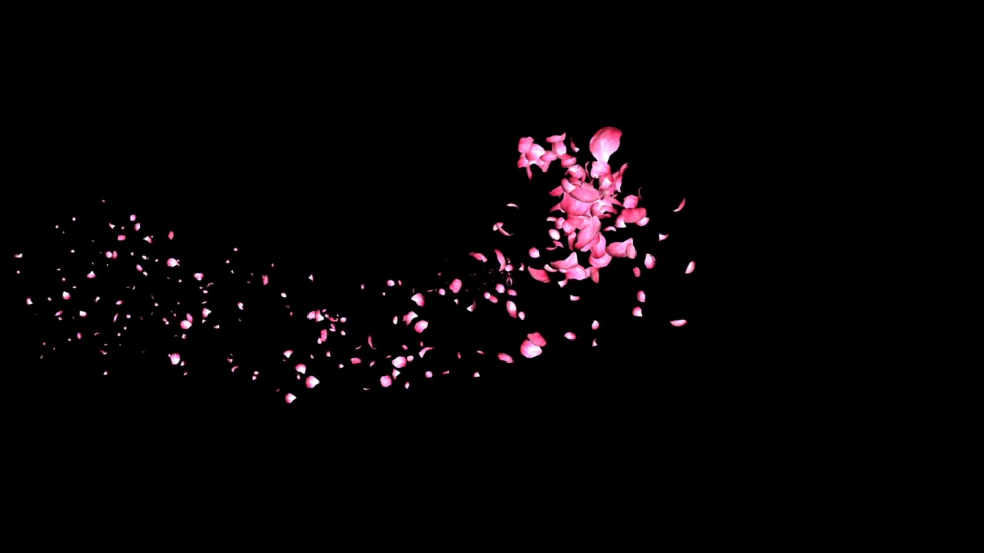 花瓣螺旋飞舞免抠视频素材视频的预览图