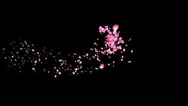 花瓣螺旋飞舞免抠视频素材视频的预览图
