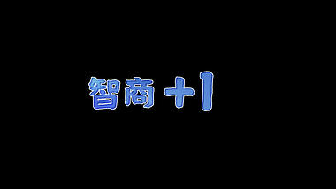 智商+1综艺节目花字【带通道】视频的预览图