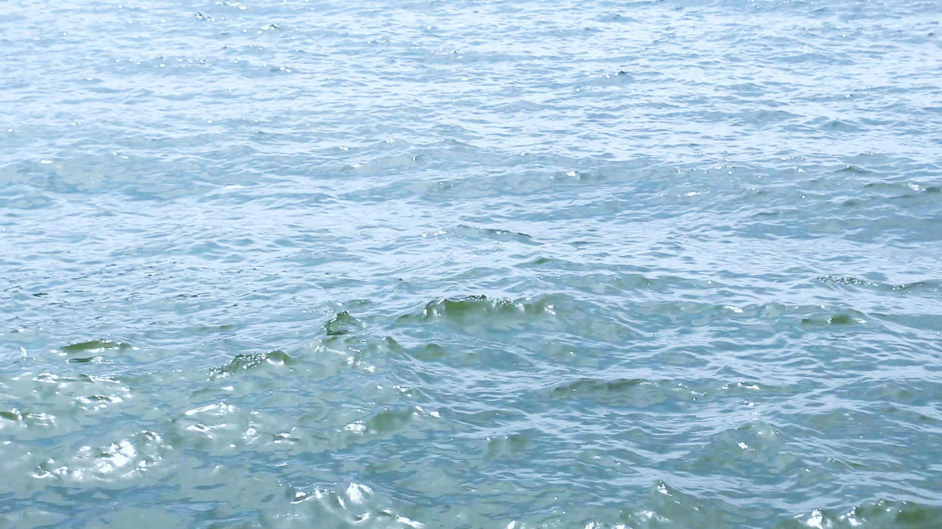 1080P阳光照耀下的洱海海水视频的预览图