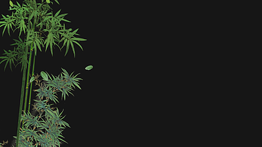 竹子竹叶飘落动态元素【带通道】视频的预览图