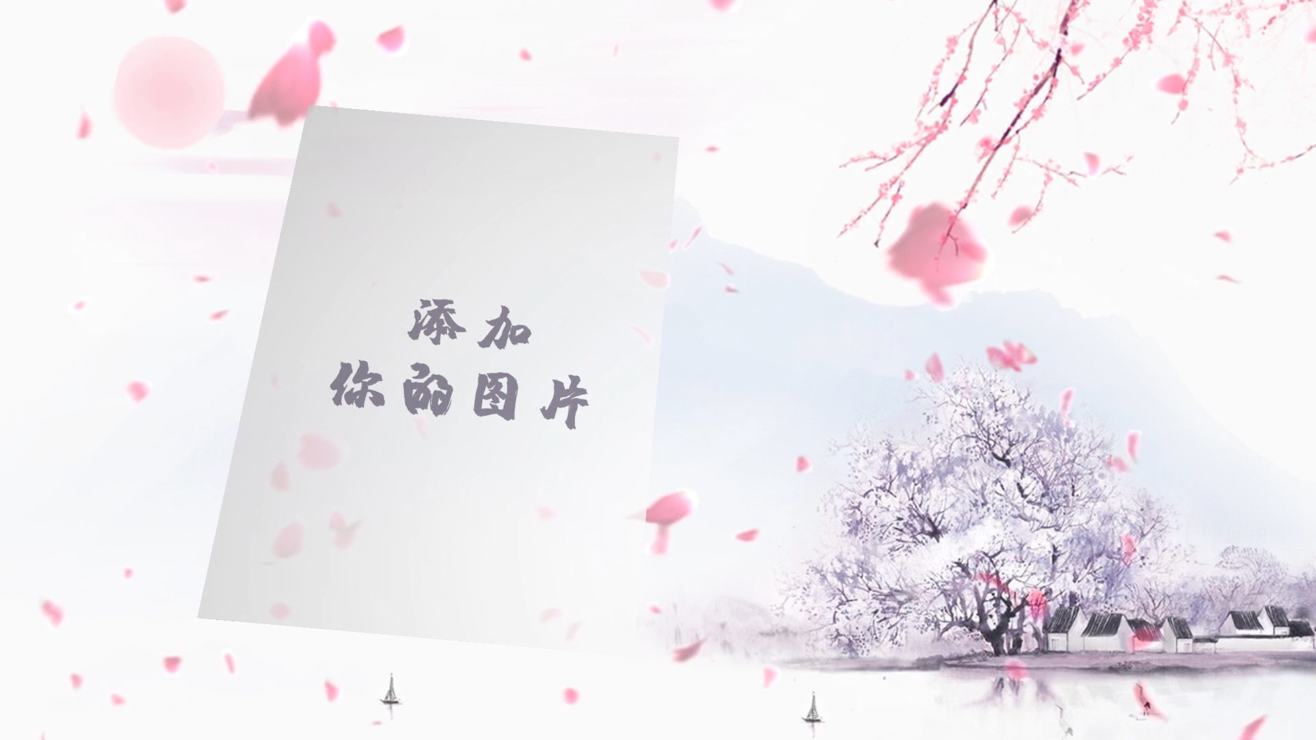 中国风樱花相册展示AE模板视频的预览图