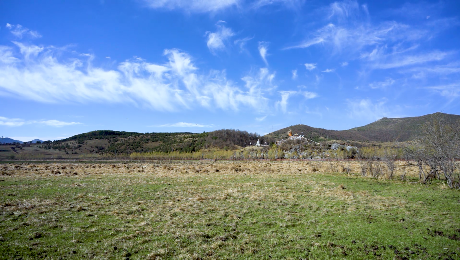 1080P草地自然风光蓝天白云视频的预览图