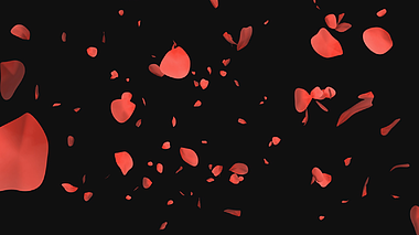 红色花瓣效果动态元素后期免抠内容应用视频的预览图