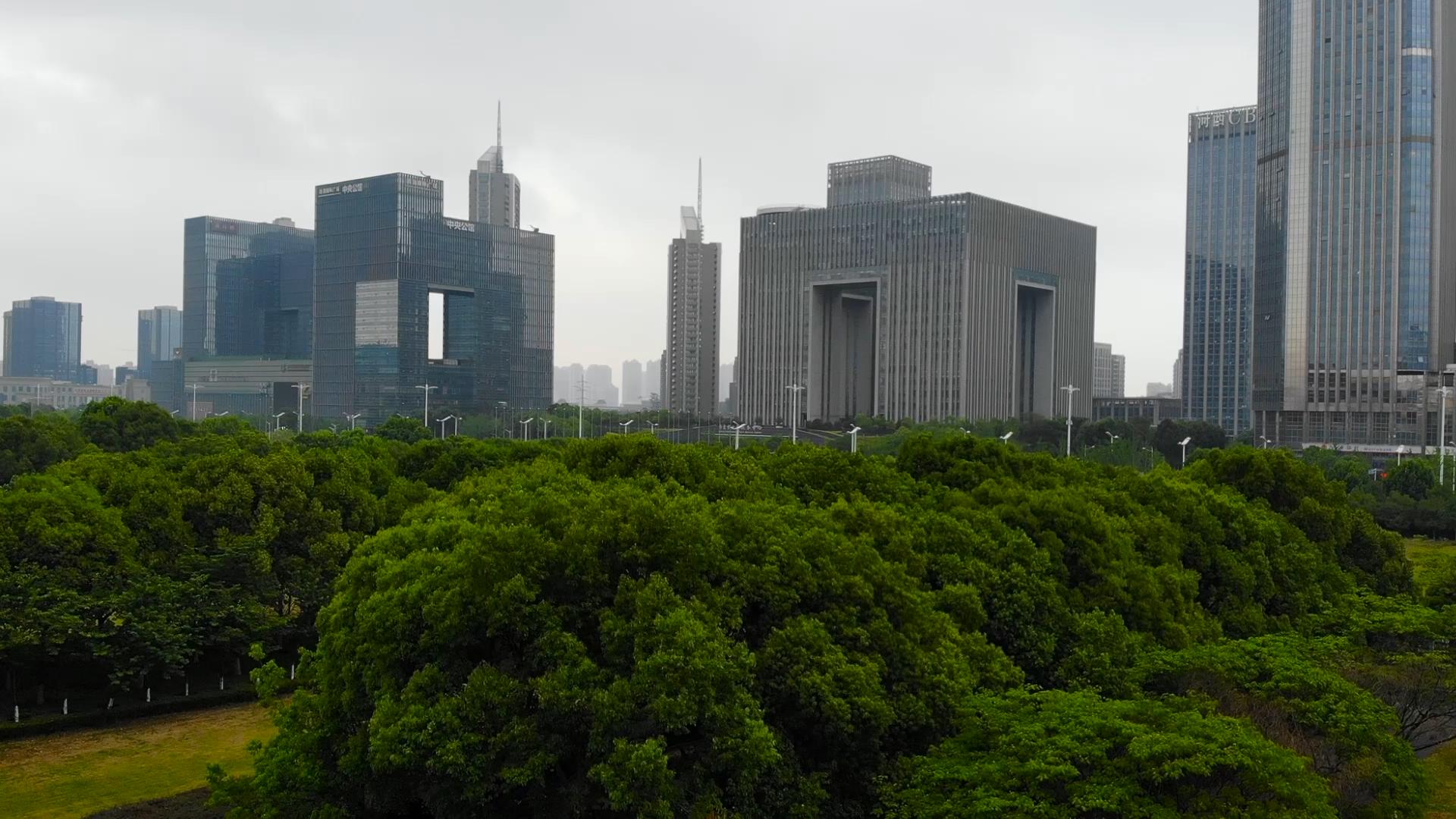 1080P航拍城市绿树CBD视频的预览图