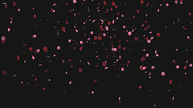 玫瑰红色花瓣效果后期动态元素免抠应用视频的预览图