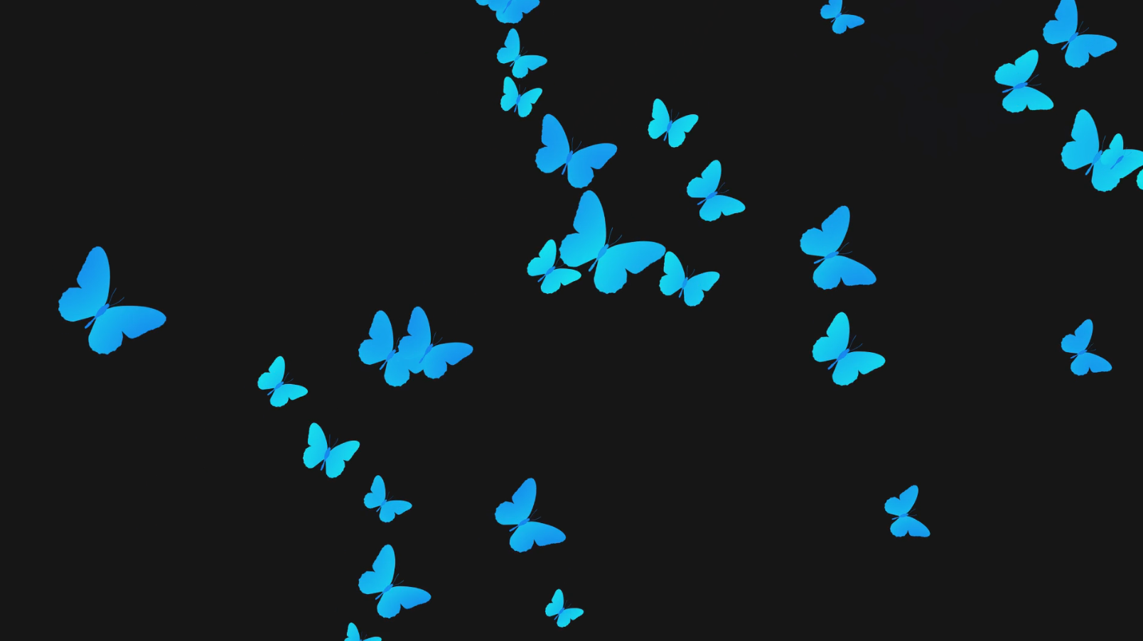 唯美群体蝴蝶效果免抠动态效果应用视频的预览图