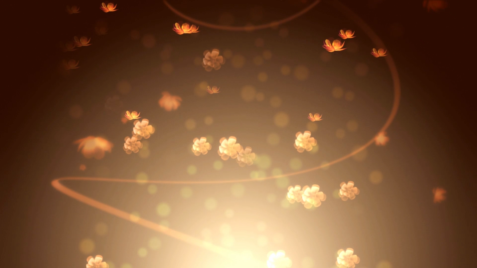 暖色调舞台LED线条花朵飘动背景视频的预览图