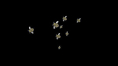 卡通一群蜜蜂杂乱飞翔动画透明通道视频的预览图
