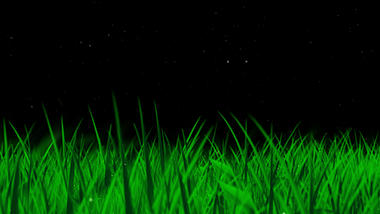 绿色青草元素ae模板视频的预览图