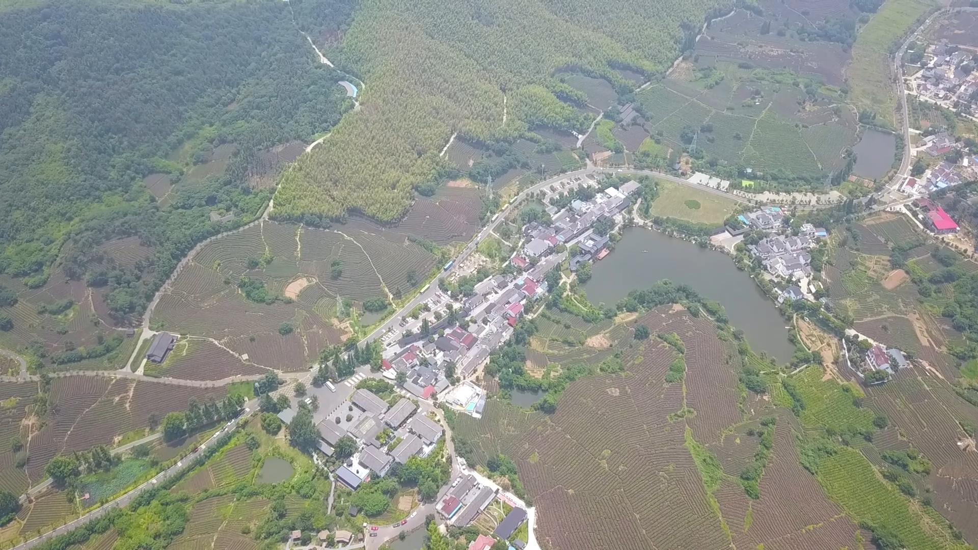 1080P航拍山村绿树湖茶园视频的预览图