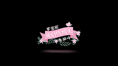 清新小鸟花朵丝带婚礼字幕条透明通道视频的预览图