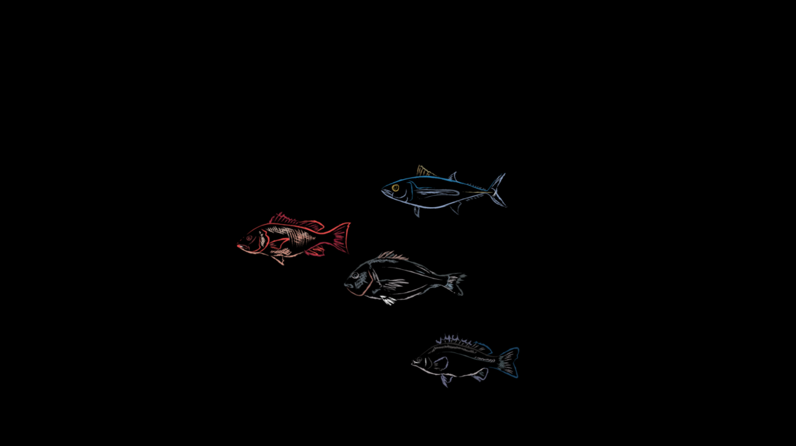 手绘动态鱼后期元素效果后期内容应用视频的预览图